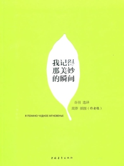 我记得那美妙的瞬间封面图