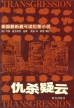 仇杀疑云封面图