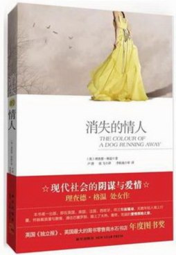 消失的情人封面图