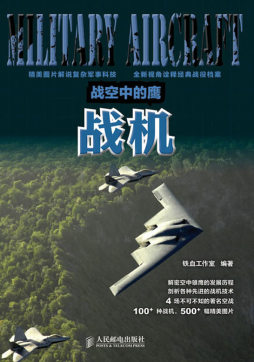 战空中的鹰封面图