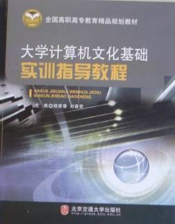 大学计算机文化基础实训指导教程封面图