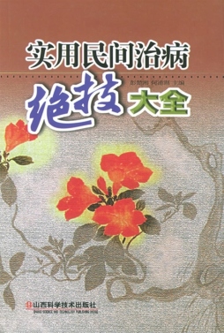 实用民间治病绝技大全封面图