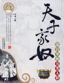 天子家奴封面图