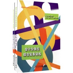 会计分岗位综合实务训练封面图