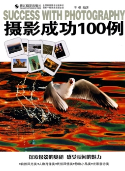 摄影成功100例封面图
