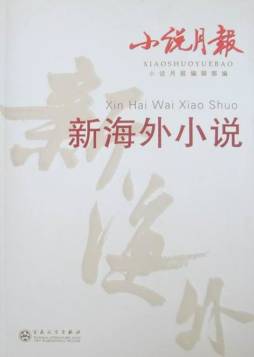 小说月报新海外小说封面图