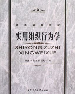 实用组织行为学封面图
