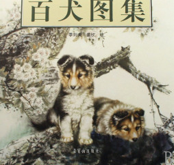 百犬图集封面图