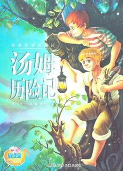 汤姆历险记封面图