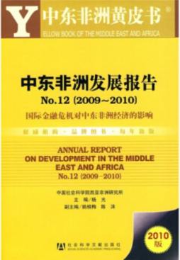 中东非洲发展报告封面图