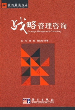 战略管理咨询封面图