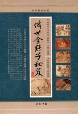 传世金点子秘笈封面图