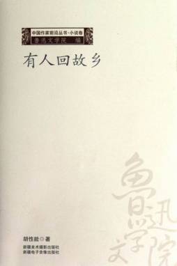 有人回故乡封面图