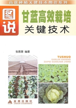 图说甘蓝高效栽培关键技术封面图