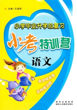 小考特训营封面图