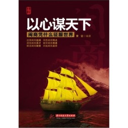 以心谋天下封面图