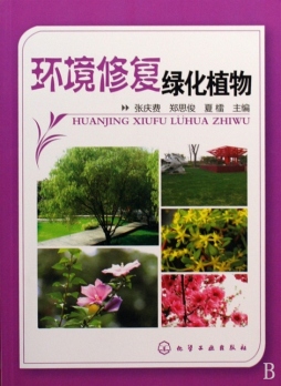 环境修复绿化植物封面图