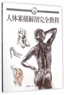 人体素描解剖完全教程封面图