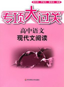 专项大过关封面图