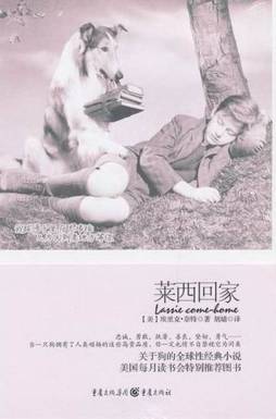 莱西回家封面图