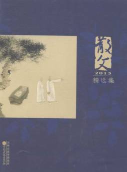 散文2013精选集封面图