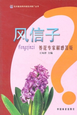 风信子养花专家解惑答疑封面图