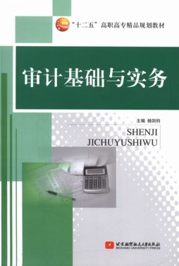 审计基础与实务封面图