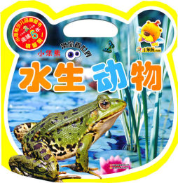 小笨熊带你看世界封面图