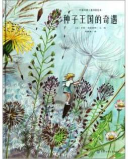 种子王国的奇遇封面图