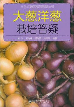 大葱洋葱栽培答疑封面图