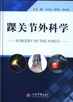 踝关节外科学封面图