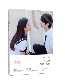 少年已忘却那片流沙封面图