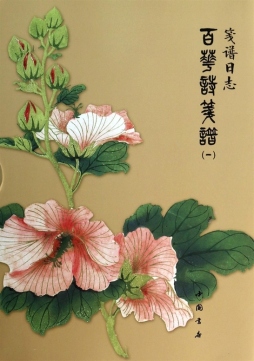 笺谱日志封面图