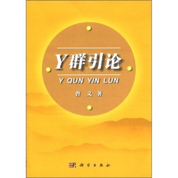 Y群引论封面图