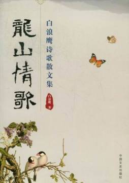 龙山情歌封面图