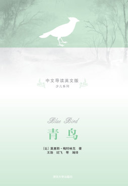青鸟封面图