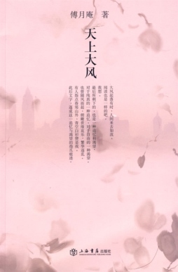 天上大风封面图