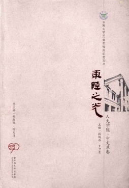 东陆之光封面图