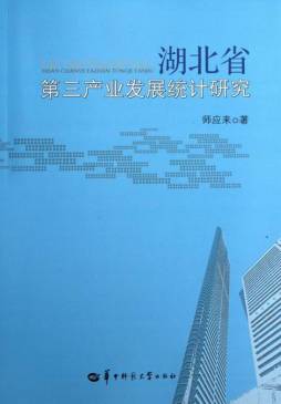 湖北省第三产业发展统计研究封面图