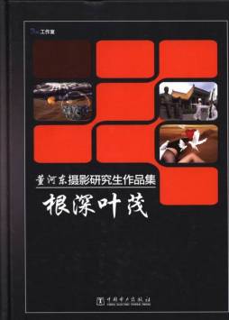 根深叶茂封面图