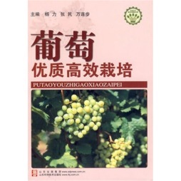 葡萄优质高效栽培封面图