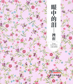 眼中的泪封面图