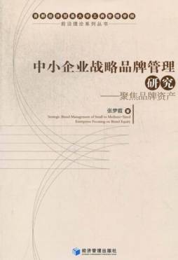 中小企业战略品牌管理研究封面图