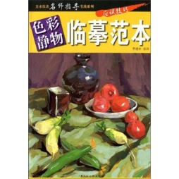 色彩静物封面图