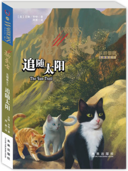 追随太阳封面图