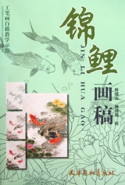 锦鲤画稿封面图