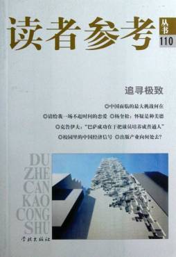 追寻极致封面图