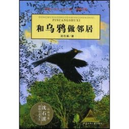 和乌鸦做邻居封面图