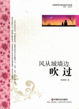 风从城墙边吹过封面图