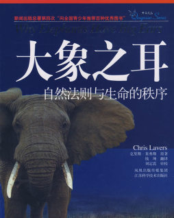 大象之耳封面图